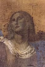 visomaria.jpg (25971 byte)