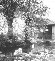 borgo05.jpg (11921 byte)