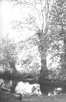 borgo06.jpg (7489 byte)