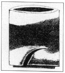 leoni_image9.jpg (45055 byte)